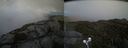 ./images/calvert/buxton2/20210608/buxton220210608_185502M.jpg