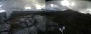 ./images/calvert/buxton2/20210609/buxton220210609_110503M.jpg
