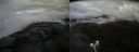 ./images/calvert/buxton2/20210612/buxton220210612_182002M.jpg