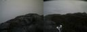 ./images/calvert/buxton2/20210612/buxton220210612_194003M.jpg