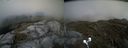 ./images/calvert/buxton2/20210613/buxton220210613_162002M.jpg