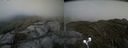 ./images/calvert/buxton2/20210613/buxton220210613_163502M.jpg