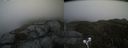 ./images/calvert/buxton2/20210614/buxton220210614_130503M.jpg