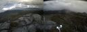 ./images/calvert/buxton2/20210614/buxton220210614_142502M.jpg