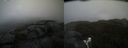 ./images/calvert/buxton2/20210614/buxton220210614_151003M.jpg