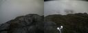 ./images/calvert/buxton2/20210614/buxton220210614_181503M.jpg