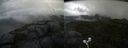 ./images/calvert/buxton2/20210617/buxton220210617_084003M.jpg