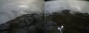 ./images/calvert/buxton2/20210617/buxton220210617_091503M.jpg