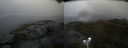 ./images/calvert/buxton2/20210617/buxton220210617_115503M.jpg