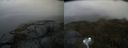 ./images/calvert/buxton2/20210617/buxton220210617_120503M.jpg