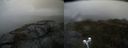 ./images/calvert/buxton2/20210617/buxton220210617_142503M.jpg