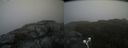 ./images/calvert/buxton2/20210617/buxton220210617_162503M.jpg