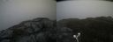 ./images/calvert/buxton2/20210617/buxton220210617_163503M.jpg