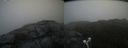 ./images/calvert/buxton2/20210617/buxton220210617_164003M.jpg