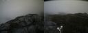 ./images/calvert/buxton2/20210617/buxton220210617_165503M.jpg