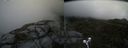 ./images/calvert/buxton2/20210617/buxton220210617_172003M.jpg