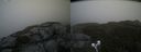 ./images/calvert/buxton2/20210617/buxton220210617_184502M.jpg