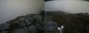 ./images/calvert/buxton2/20210617/buxton220210617_195003M.jpg