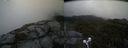 ./images/calvert/buxton2/20210617/buxton220210617_195503M.jpg
