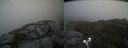 ./images/calvert/buxton2/20210617/buxton220210617_205002M.jpg