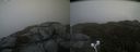 ./images/calvert/buxton2/20210618/buxton220210618_081502M.jpg