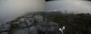 ./images/calvert/buxton2/20210618/buxton220210618_084003M.jpg