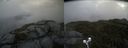 ./images/calvert/buxton2/20210618/buxton220210618_092503M.jpg