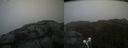 ./images/calvert/buxton2/20210618/buxton220210618_094003M.jpg