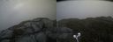 ./images/calvert/buxton2/20210618/buxton220210618_094503M.jpg