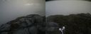 ./images/calvert/buxton2/20210618/buxton220210618_095003M.jpg
