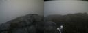./images/calvert/buxton2/20210618/buxton220210618_115003M.jpg