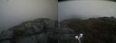 ./images/calvert/buxton2/20210618/buxton220210618_122003M.jpg