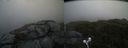 ./images/calvert/buxton2/20210618/buxton220210618_122503M.jpg