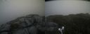 ./images/calvert/buxton2/20210618/buxton220210618_135002M.jpg