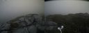 ./images/calvert/buxton2/20210618/buxton220210618_135502M.jpg