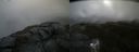 ./images/calvert/buxton2/20210619/buxton220210619_100002M.jpg