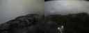 ./images/calvert/buxton2/20210619/buxton220210619_111503M.jpg