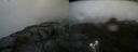 ./images/calvert/buxton2/20210619/buxton220210619_112003M.jpg
