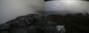 ./images/calvert/buxton2/20210619/buxton220210619_134503M.jpg
