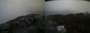 ./images/calvert/buxton2/20210619/buxton220210619_140003M.jpg