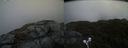 ./images/calvert/buxton2/20210619/buxton220210619_170503M.jpg