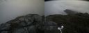 ./images/calvert/buxton2/20210619/buxton220210619_174502M.jpg