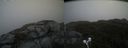 ./images/calvert/buxton2/20210619/buxton220210619_180002M.jpg
