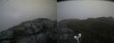 ./images/calvert/buxton2/20210619/buxton220210619_185003M.jpg