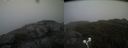 ./images/calvert/buxton2/20210619/buxton220210619_203502M.jpg