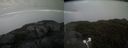./images/calvert/buxton2/20210619/buxton220210619_205003M.jpg