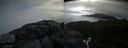 ./images/calvert/buxton2/20210622/buxton220210622_085502M.jpg