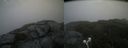 ./images/calvert/buxton2/20210630/buxton220210630_122502M.jpg