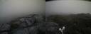 ./images/calvert/buxton2/20210630/buxton220210630_215503M.jpg