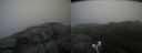 ./images/calvert/buxton2/20210701/buxton220210701_084503M.jpg